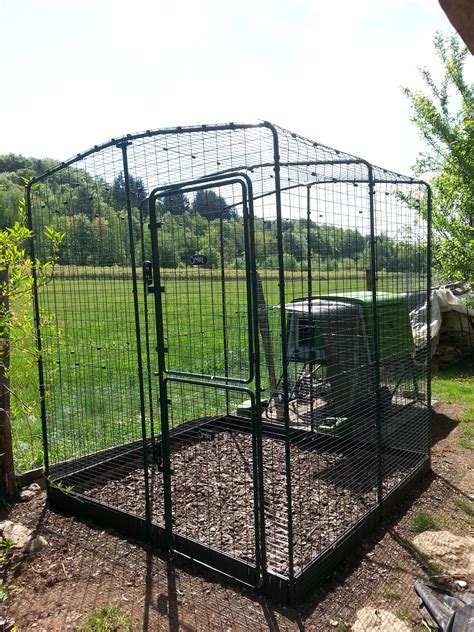 outdoor chicken enclosures